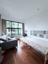 Holland Link (D10), Terrace #556148411